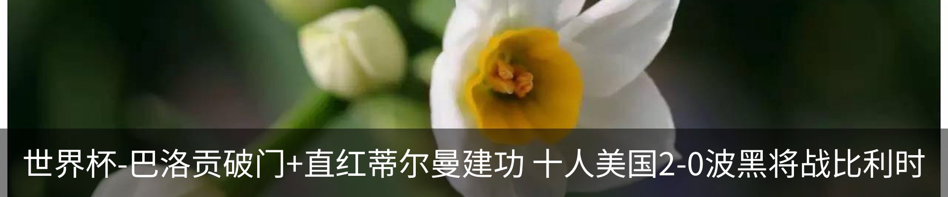 新闻动态